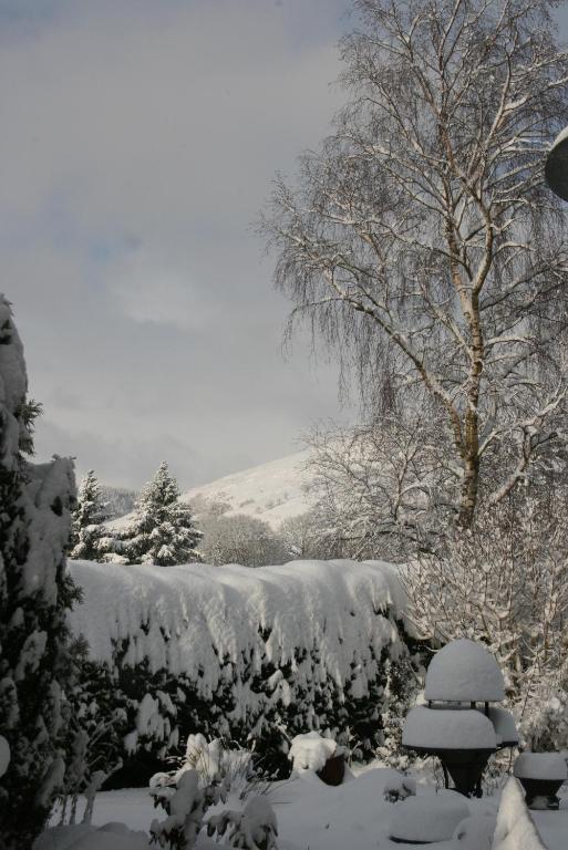 Ty Carreg Bed & Breakfast Llanwrtyd Wells Exterior foto