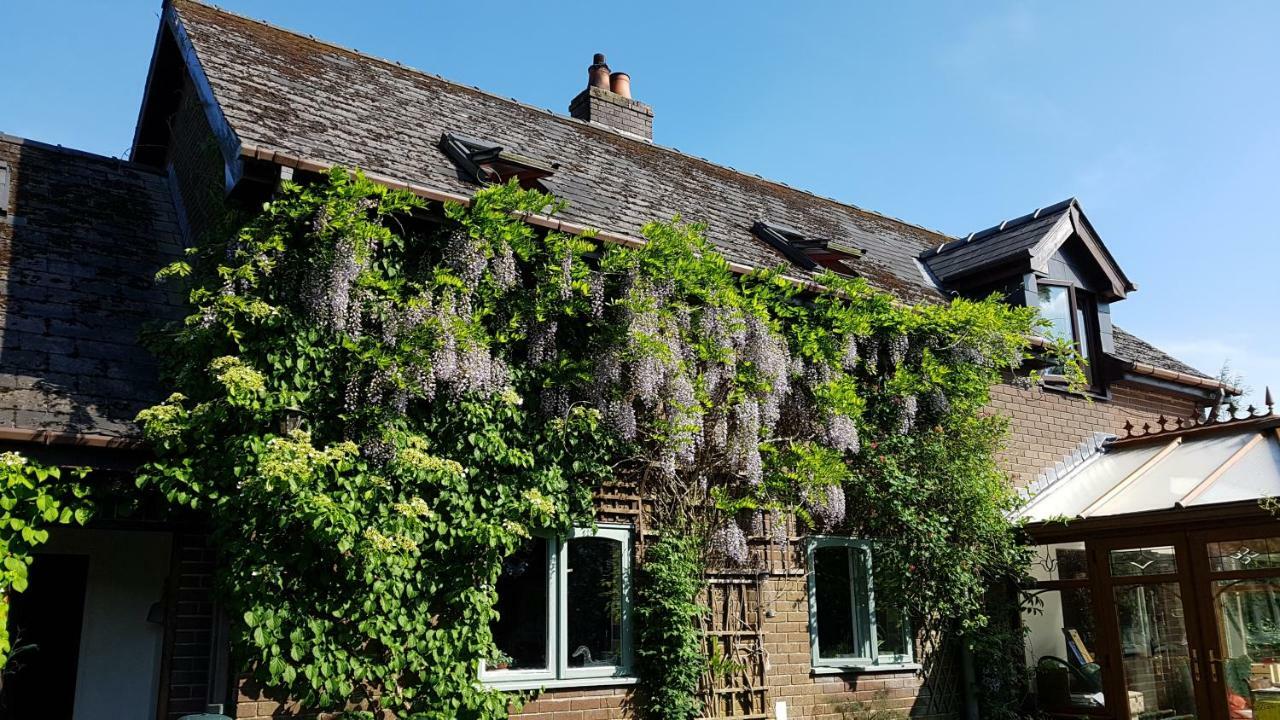 Ty Carreg Bed & Breakfast Llanwrtyd Wells Exterior foto